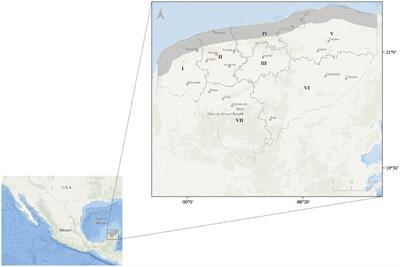 Navigating climate change complexity and deep uncertainty: approach for building socio-ecological resilience using qualitative dynamic simulation